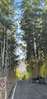 A peaceful forest pathway with a tiger and tall trees.