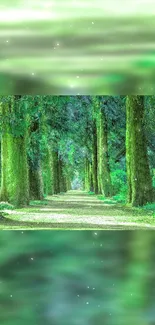 Tranquil forest path surrounded by vibrant green trees.