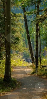 Serene forest path with lush greenery, ideal for a calming mobile wallpaper.