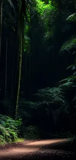 Serene forest path surrounded by green foliage in tranquil setting.