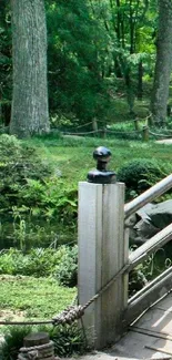 Serene forest pathway with lush green surroundings and a wooden bridge.