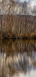 Serene forest reflection on calm water with trees.