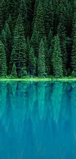 Serene forest reflected above a tranquil blue lake.