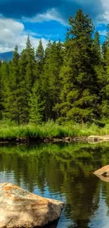 Serene forest reflection on a tranquil lake with lush green trees.