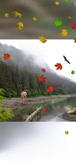 Tranquil forest river with autumn leaves and a misty mountain backdrop.