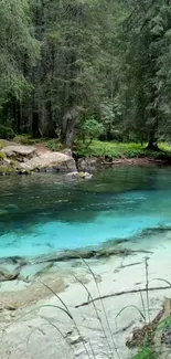 Turquoise river flowing through a lush green forest.