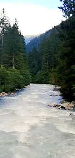 Serene river flowing through lush green forest with mountain background.