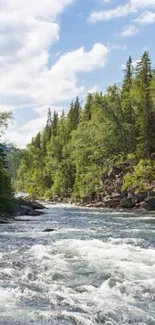 Serene forest river with lush greenery and clear blue sky.