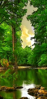 Serene forest river with lush green trees and calm waters.