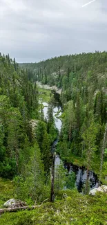 Serene forest with flowing river under cloudy sky.