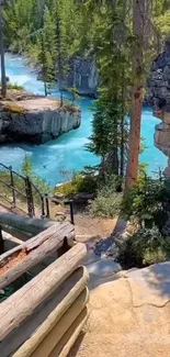 Serene forest river view with pathway and turquoise water.