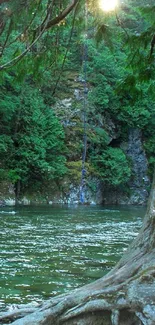 Serene river and forest mobile wallpaper with lush green trees.