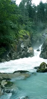 Serene river flowing through a lush forest landscape.