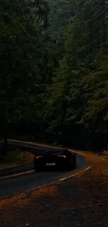 Car driving through a lush forest road at dusk, surrounded by tall green trees.