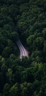 Winding road through lush green forest.