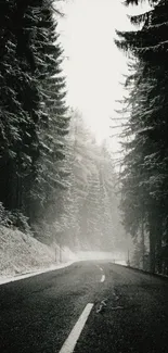 Serene snowy forest road under misty sky wallpaper.