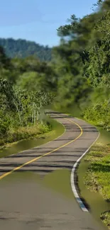 Winding road through lush green forest with clear blue sky.