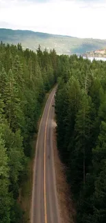 A tranquil road winding through a lush green forest under a clear sky.