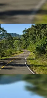 Serene road through dense green forest scenery.