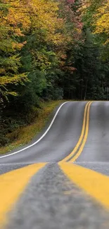 Serene road through autumn forest with vibrant yellow lines.