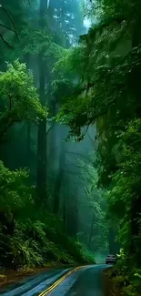 A serene road winding through a lush green forest.