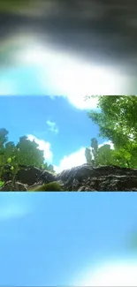 Forest landscape with bright blue sky and lush green trees.