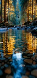Serene stream in forest reflecting sunlight.