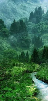 Serene forest stream with lush green foliage mobile wallpaper.