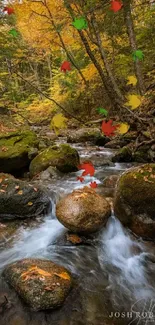 Peaceful forest stream with autumn leaves and mossy rocks.