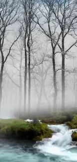 Serene forest stream with misty trees and flowing water in a picturesque setting.