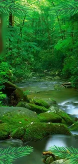 A tranquil forest stream with lush greenery and gentle flowing water.