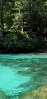 Serene forest stream with turquoise water and lush green trees.