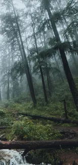 Misty forest with a tranquil stream and lush greenery for mobile wallpaper.