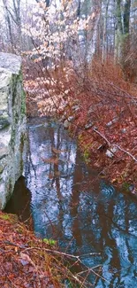 Tranquil forest stream with lush surroundings.