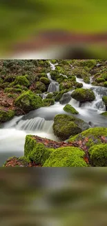 Serene forest stream with mossy rocks and flowing water in nature wallpaper.