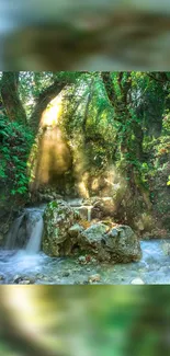 Serene forest stream with sunlight filtering through lush greenery.