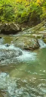 Serene forest stream with cascading water and lush greenery.