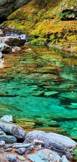Vibrant forest stream with lush greenery and colorful rocks.
