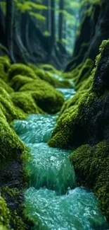 Serene forest stream with lush moss and flowing water