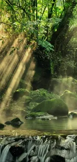 Sunlit forest stream with cascading water, lush green trees, and tranquil atmosphere.