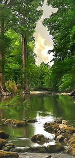 Serene forest stream with lush greenery and reflections in the water.