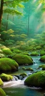 Serene forest stream with lush greenery and sunlight filtering through the trees.