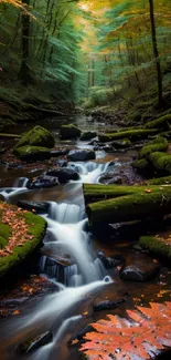 Serene forest stream with cascading water and autumn leaves.