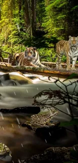 Peaceful forest stream with wildlife and lush trees.