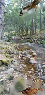 Serene forest stream with birds and greenery in captivating scenery.