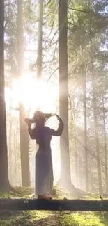 Silhouette in sunlight in a tranquil forest setting.