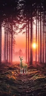 Deer in a serene forest at sunrise with vibrant colors.