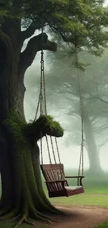 Serene forest scene with a swing hanging from a lush, moss-covered tree.