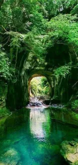 Tranquil forest tunnel with lush greenery reflected in calm water.