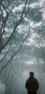 Misty forest with a person walking, silhouetted by tall trees.